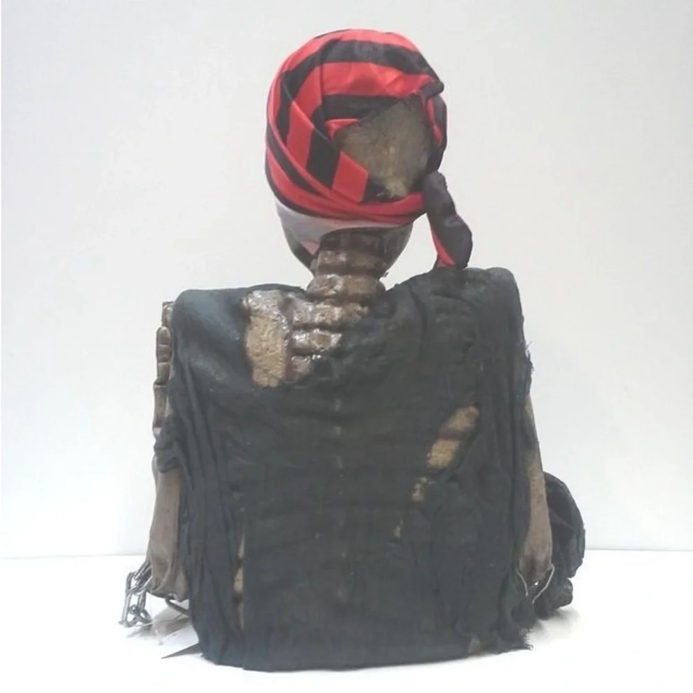 Vintage Halloween Pirate Skeleton Party Decor with Red Bandana